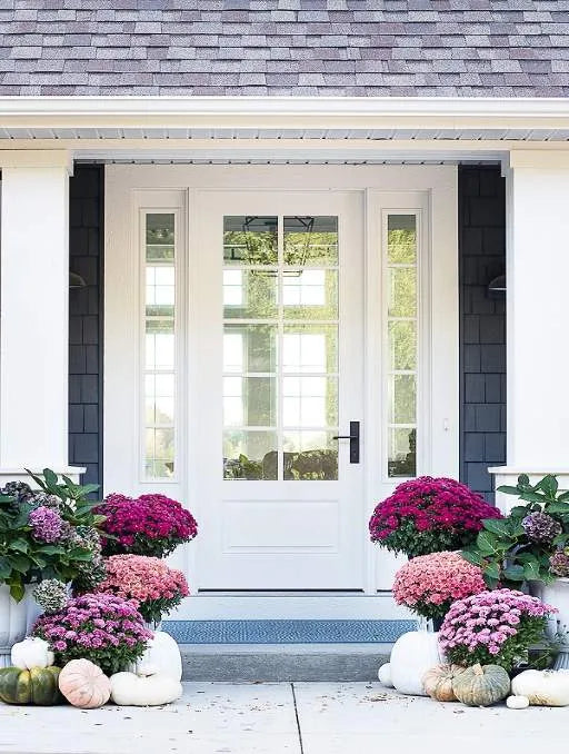 Modern French Farmhouse 10 Lite Single Door